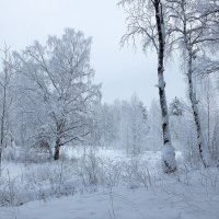 *** :: Андрей Дурапов