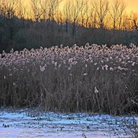 Ещё сюжет с озера Восьмёрка - очень уж мне приглянулся почему-то... :: Леонид Школьный