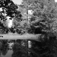 Фотография :: Денис Безногов