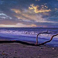 Дары шторма. :: Марина Леонидовна