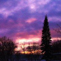 Февральский вечер :: Людмила Смородинская Февральский вечер :: Людмила Смородинская