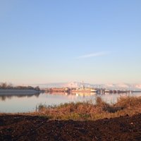 на набережной :: Елена Шаламова