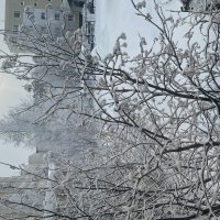 За окном :: Эльвира Белянская