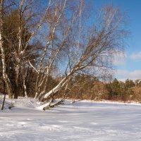 На озере. :: Николай 