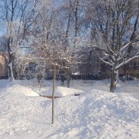 Зима :: Galina Solovova