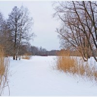 "Я не люблю февраль, но я терплю его скупые в сером акварели..." :: Лия ☼
