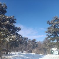 Никольский парк биофабрика прогресс :: Вячеслав Коломойцев Владимирович