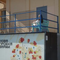 в Этажах :: zavitok *