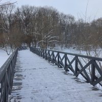 В зимнем парке :: Дмитрий И_