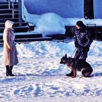 Не бойтесь! Он не кусачий! :: Владимир 