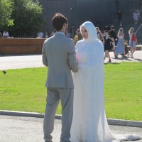 свадебная фотосессия :: Елена Шаламова