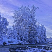 Новогоднее утро---03 :: Владимир Холодный