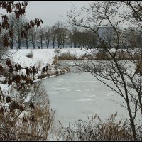 *** :: Aleksandr Gal