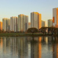 Купчино :: елена беликова