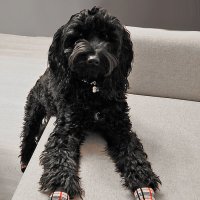 Вот какие у меня красивые носочки! :: Светлана Вот какие у меня красивые носочки! :: Светлана