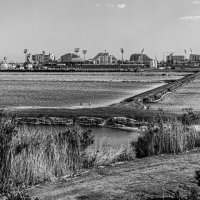 Солёные берега :: Eugene * Солёные берега :: Eugene *