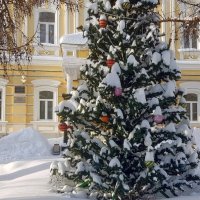 Ёлка в РГУ :: Galina Solovova