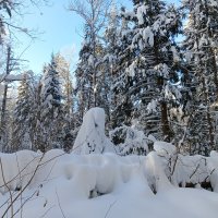 с бабкой задремали тихий час :: Владимир 