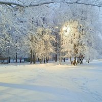 Утро. :: веселов михаил 