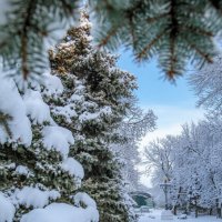 Зимний город :: Оксана Новик 