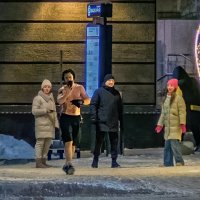 "Охолонусь    струёй    ледяною..." :: Сергей Шатохин 