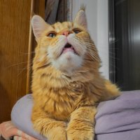 Василий. :: Борис Калитенко