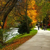Осенний день :: Юрий. Шмаков Осенний день :: Юрий. Шмаков