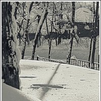 чистейший без обмана.... :: Любовь 