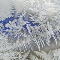 Очередные художества Мороза... :: Надежда Куркина 