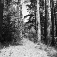 Фотография :: Денис Безногов