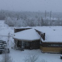 А снег идёт... :: Ольга 