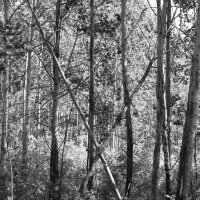 Фотография :: Денис Безногов