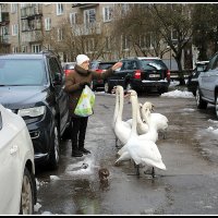 *** :: Aleksandr Gal *** :: Aleksandr Gal