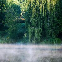 Прохладное утро. :: Владимир Безбородов