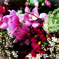 Февральский букет :: Aida10 Февральский букет :: Aida10