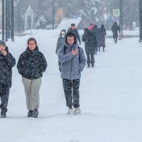 Снег идёт ... :: Анатолий. Chesnavik. Снег идёт ... :: Анатолий. Chesnavik.