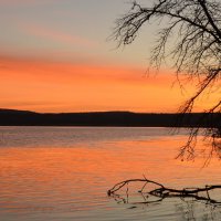 Ярким розовым рассветом пробудился день осенний... :: Надежда Куркина 
