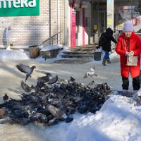 Куча-мала - насыпали пшена :: Татьяна Машошина