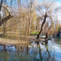 Салгир 24 января2025 года :: Валентин Семчишин