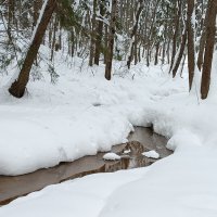 пейзаж :: Владимир 