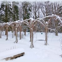 Пергола :: Лия ☼