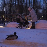 Зимний Вечер в Парке :: юрий поляков