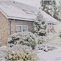 ДОМ ПО СОСЕДСТВУ.. :: Elvira E. ДОМ ПО СОСЕДСТВУ.. :: Elvira E.