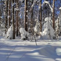 Фигуры, свет и тени :: Игорь Ч.