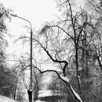 Формы, линии, изгибы :: Любимова Ольга Формы, линии, изгибы :: Любимова Ольга