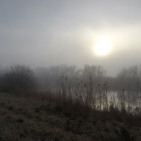 Утро. :: Александр. AVG100 ---