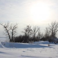 Зима. :: Александр. AVG100 ---