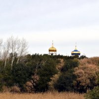 Маковки золотые :: Дарья Шуклина