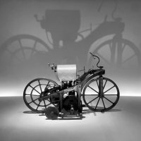 Полконя из дерева :: XX 74 Полконя из дерева :: XX 74