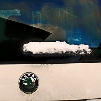 Южная зима - 33 :: Алексей Кузнецов Южная зима - 33 :: Алексей Кузнецов